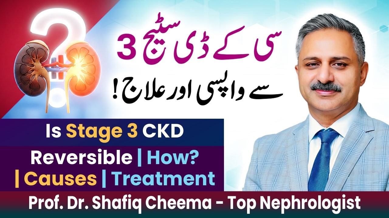 CKD Stage 3 | Can Your Kidneys Heal