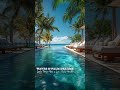 Sunday Palm Escape 🌊🌴 A Tropical Weekend Reset