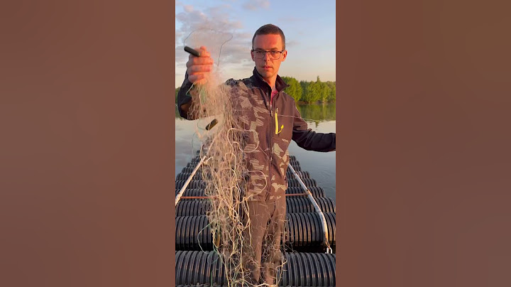 Ну не говнюки ли?! #рыбалка #сеть