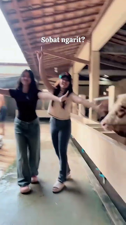 Sobat Ngarit Wanto Dan Yono #cantikanuswantoro #lusyanajelita #adella