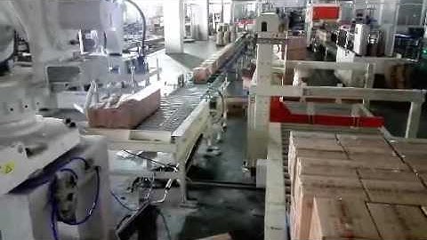 automatic carton robot palletizer system