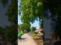 comment your road name #shortvideo #trendingvideo #nature #nayenawelidulhanparpehledin #viralnow
