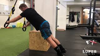 TRX Flutter
