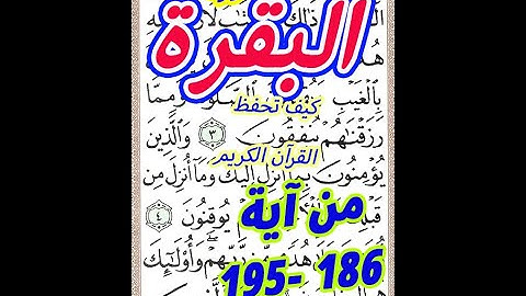 سورة البقرة من الاية 186 الى الاية 195 بخط المصحف الكبير لسهولة الحفظ