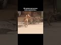 Me parece que estuvo mala experiencia en eso 😭🤣 #memes #mono #perros #experience #youtubeshorts