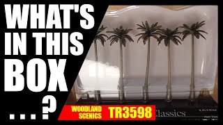 Set of 5 Tall Palm Trees (4 3⁄4 to 5 1⁄4 in.) video
