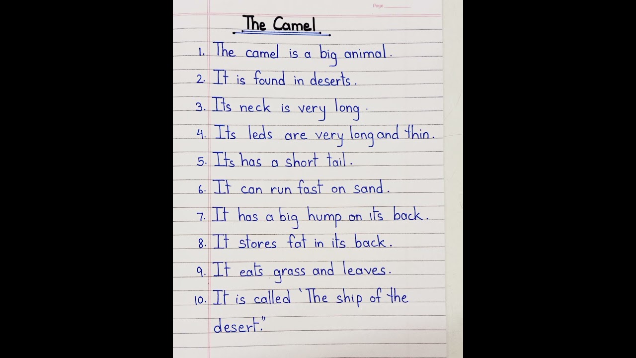 10 Lines on The 🐪  || Essay on The Camel in English 