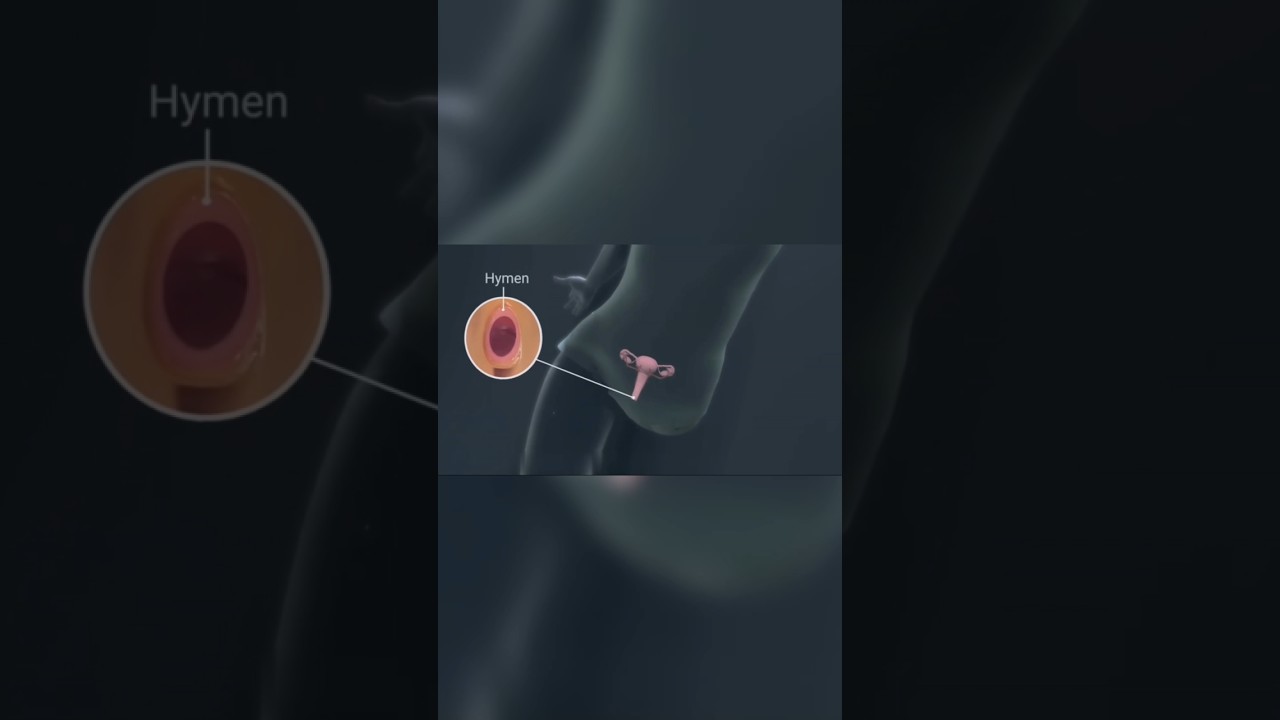 ⁣“The Truth About the Hymen They Never Taught You 👀”#HymenMyth #BodyFacts #WomenHealth #SexEducation