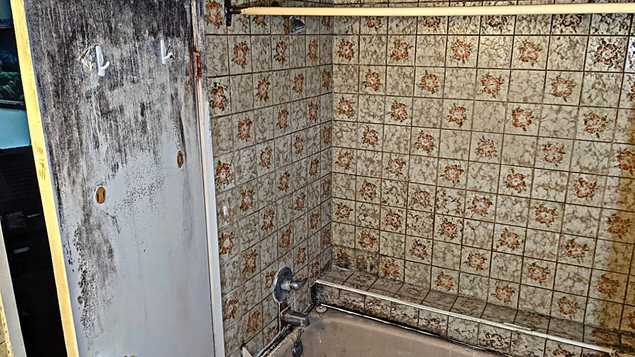 Moldiest Foreclosed House We've Ever Seen!