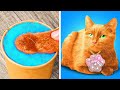 野良猫を拾いました!| 野良猫を拾った!|飼い主のためのDIYアイデア&ハック