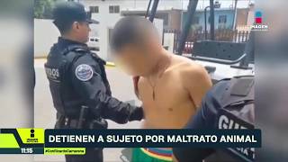 Detienen a hombre por apuñalar a un perro en El Salto, Jalisco | Noticias GDL con Ricardo Camarena
