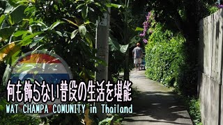 【タイ旅行】『4K動画』普段の生活をご覧あれ 集落全体が観光地 @ ワット・チャンパー・コミュニテ ィ