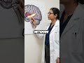 Buddhist Monks Literally Rewire Their Brains to Eliminate Suffering