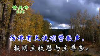 236我属耶稣