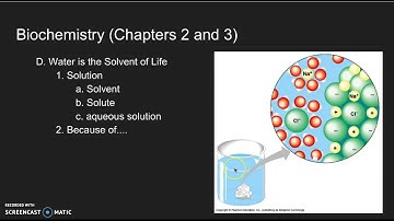 Chapter 2/3 - Biochemistry (Part 2)