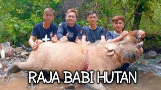 MONSTER‼️ BERBURU BABI HUTAN | REUPLOAD