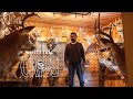 Whitetail Cribs: Southern Ohio Trophy Room with the Athen's County Record Buck