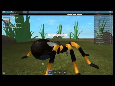 queen ant code for roblox ant simulator