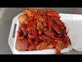 Cajun Crawfish Festival In Louisiana (2018)