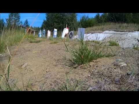 260rem  Hornady V-Max 95gr.