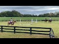 AR stadium jumping Fall Fest 2019