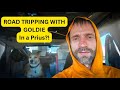 Road Tripping in a Prius With Goldie | Car Camping Reality Check