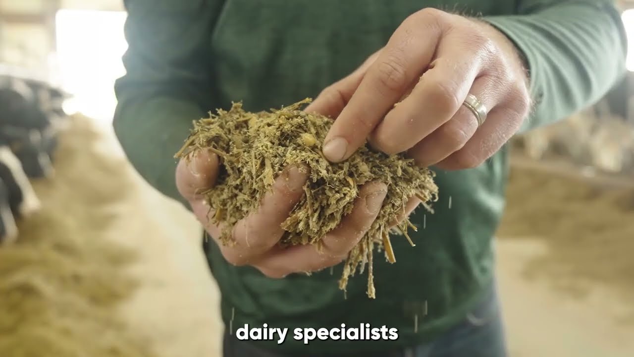 Taking the Guesswork out of Silage Staging