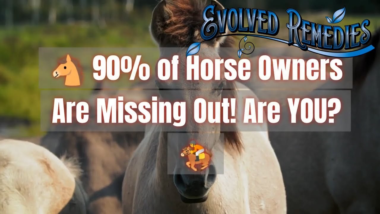 2023's Best Organic Horse Supplements: The Secret 9 Out Of 10 Horse Owners Don't Know!