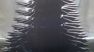 RIZE spinning ferrofluid sculpture