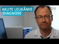 Wie gefährlich ist die Diagnose akute Leukämie?