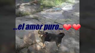 Celebras Tu Vida...?