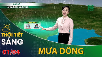 Thời tiết hôm nay 01/04/2022: Bắc Bộ có mưa rào và dông | VTC14
