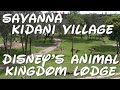 Savanna views from Kidani Village Animal Kingdom Lodge Walt Disney World