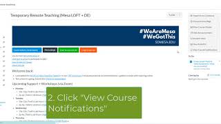 Canvas disable individual course notifications