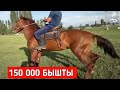 150 МИҢ СОМ Ат Сатылат Өзгөн дө!