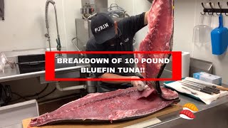 BACKSTAGE: Cleaning/Prepping a 100 POUND BLUEFIN TUNA w Chef Rod from FURIN! screenshot 5