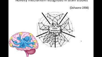 Interdisciplinary PhD on Novelty Production