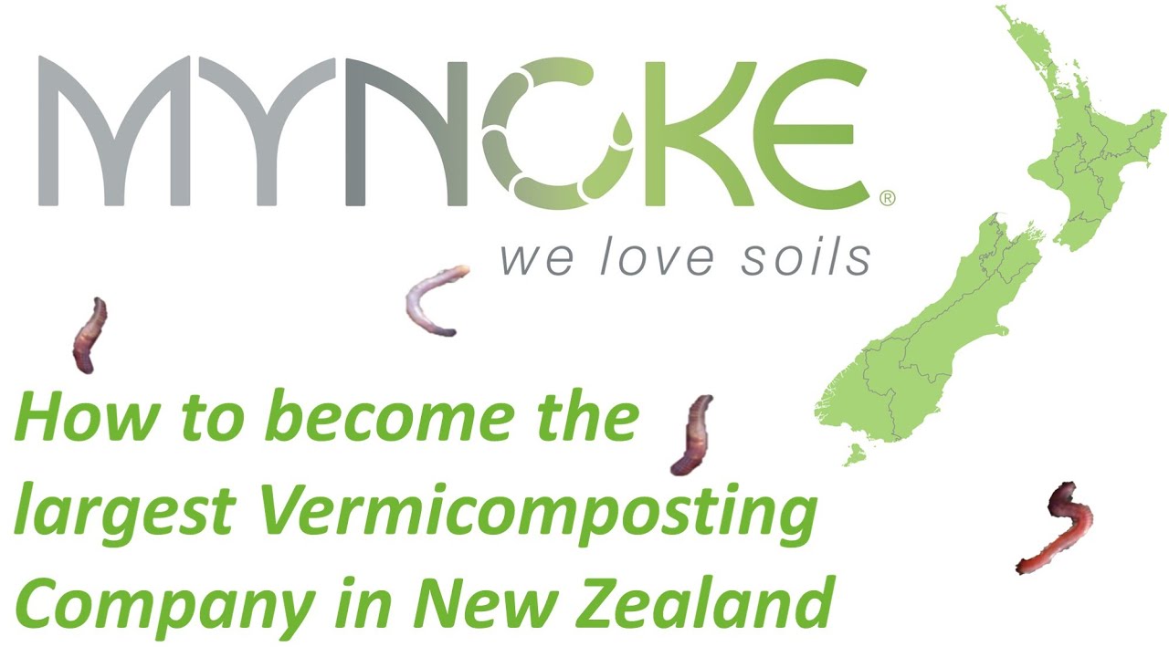 How to the largest Company in New Zealand YouTube