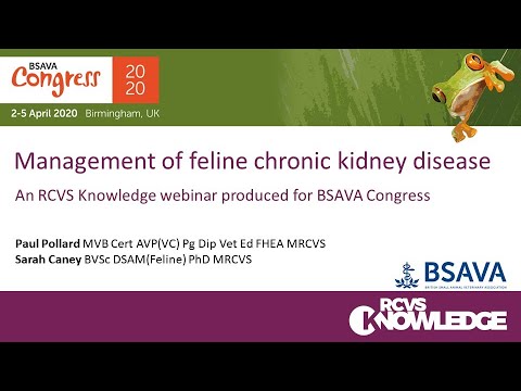 Video: Causes And Symptoms Of Chronic Renal Failure (CRF) In Cats