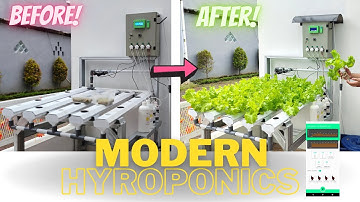 Modern Technology Hydroponics with Automatic pH and Nutrition Control System Online Monitoring