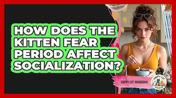 How Does The Kitten Fear Period Affect Socialization? - Happy Cat Handbook