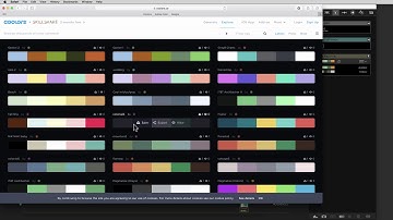 Dragonframe 4 Tutorial - 205 Color Palette