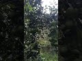 22 de março de 2026