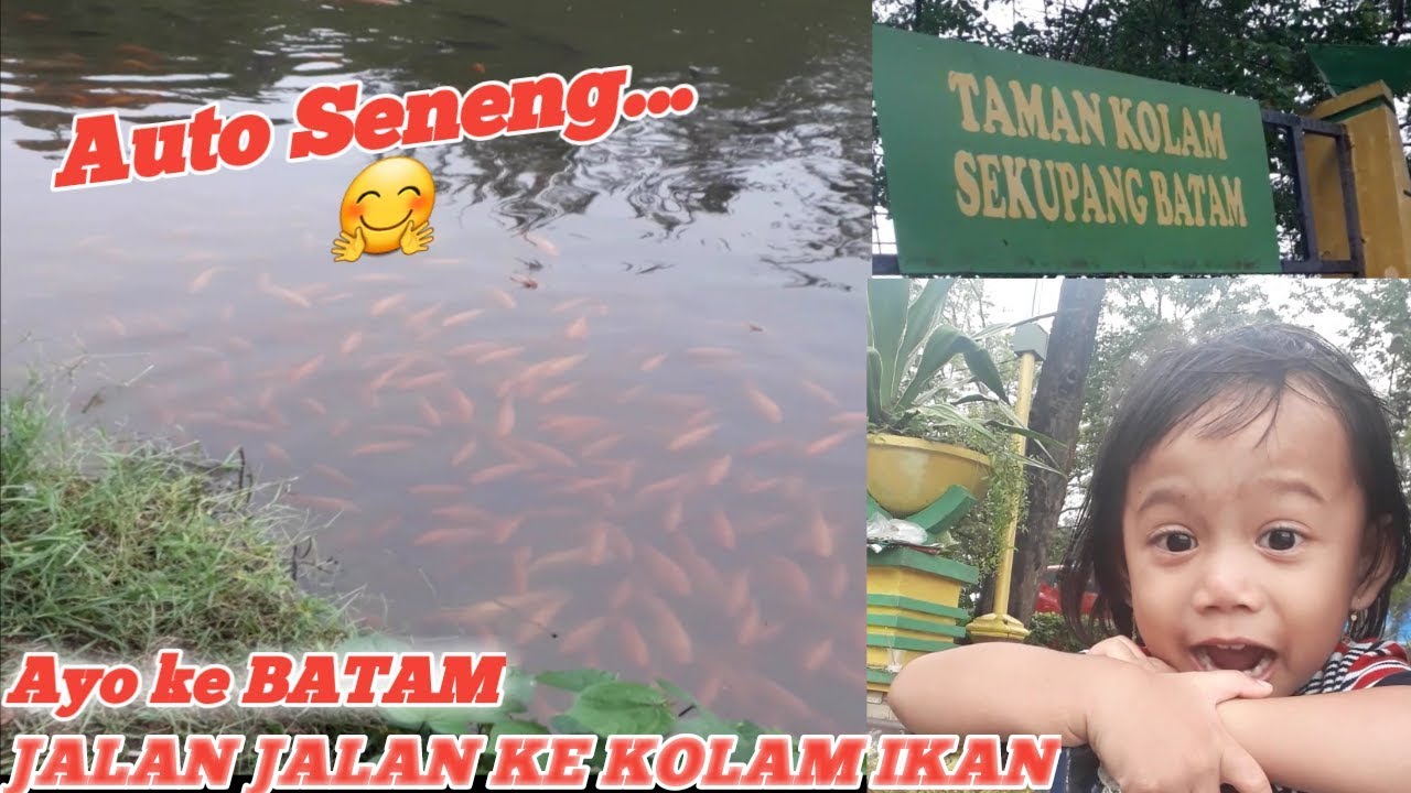 Taman Kolam Sekupang Batam - YouTube