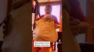 Unboxing Squishmallow Golden Hans