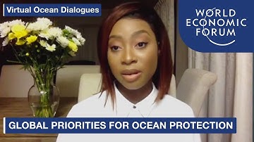 Global Priorities for Ocean Protection | Virtual Ocean Dialogues