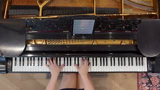 Video thumbnail of "Fast Car - Tracy Chapman (PIANO COVER)"