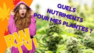 COMMENCER UNE CULTURE DE CANNABIS - Quels nutriments utilisés 