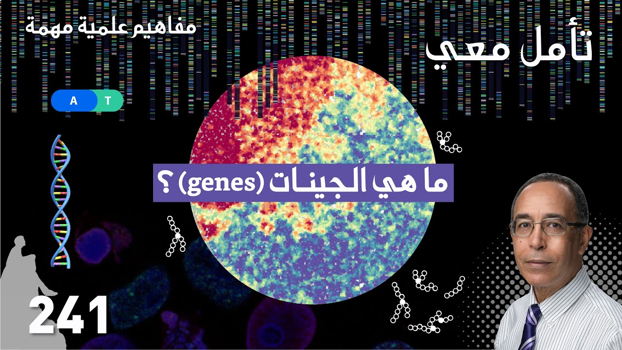(genes) ما هي الجينات؟