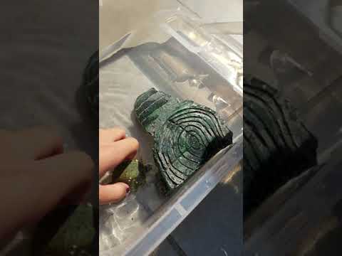五隻小巴西龜 攀爬比賽